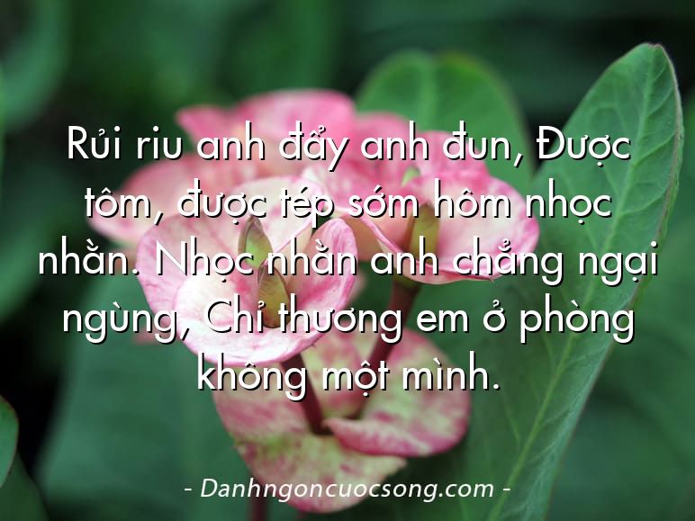 Rủi riu anh đẩy anh đun, Được tôm, được tép sớm hôm nhọc nhằn. Nhọc nhằn anh chẳng ngại ngùng, Chỉ thương em ở phòng không một mình.