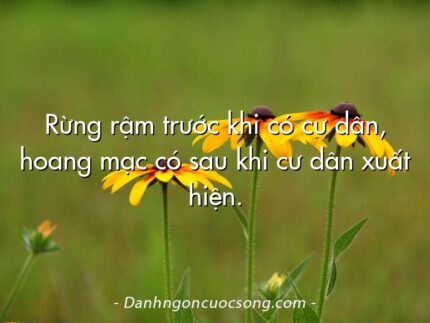 Rừng rậm trước khi có cư dân, hoang mạc có sau khi cư dân xuất hiện.