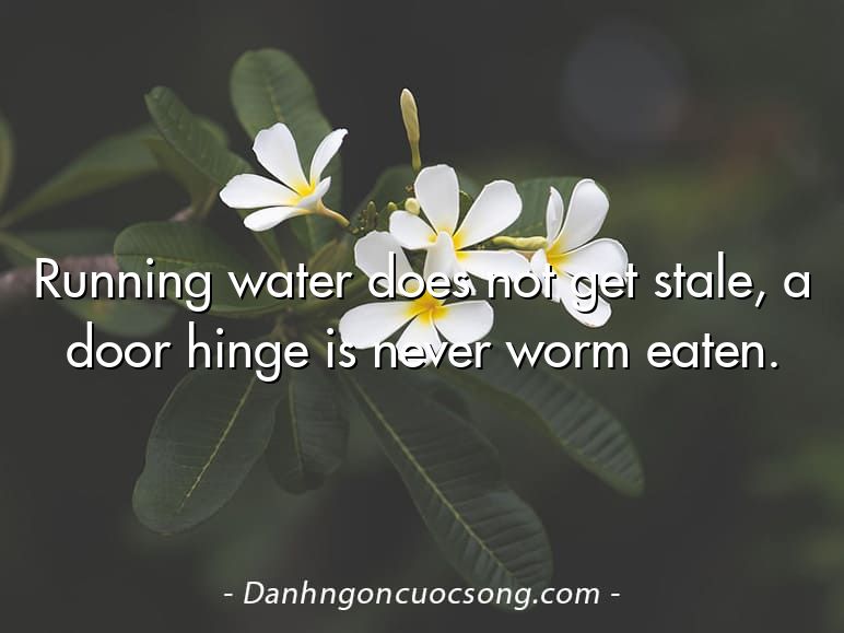 Running water does not get stale, a door hinge is never worm eaten.