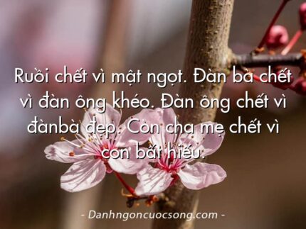 Ruồi chết vì mật ngọt. Đàn bà chết vì đàn ông khéo. Đàn ông chết vì đànbà đẹp. Còn cha mẹ chết vì con bất hiếu.