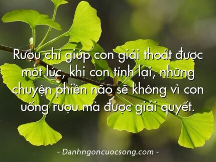 Rượu chỉ giúp con giải thoát được một lúc, khi con tỉnh lại, những chuyện phiền não sẽ không vì con uống rượu mà được giải quyết.