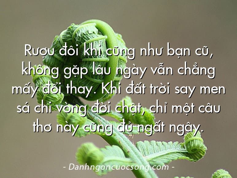 Rượu đôi khi cũng như bạn cũ, không gặp lâu ngày vẫn chẳng mấy đổi thay. Khi đất trời say men sá chi vòng đời chật, chỉ một câu thơ này cũng đủ ngất ngây.