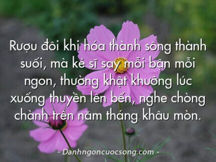 Rượu đôi khi hóa thành sông thành suối, mà kẻ sĩ say mỗi bận mỗi ngon, thường khật khưỡng lúc xuống thuyền lên bến, nghe chòng chành trên năm tháng khâu mòn.