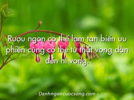 Rượu ngon có thể làm tan biến ưu phiền cũng có thể từ thất vọng dẫn đến hi vọng.
