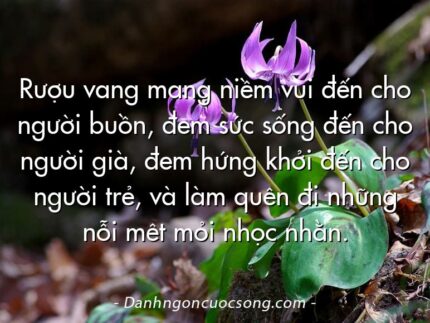 Rượu vang mang niềm vui đến cho người buồn, đem sức sống đến cho người già, đem hứng khởi đến cho người trẻ, và làm quên đi những nỗi mêt mỏi nhọc nhằn.