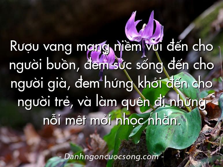Rượu vang mang niềm vui đến cho người buồn, đem sức sống đến cho người già, đem hứng khởi đến cho người trẻ, và làm quên đi những nỗi mêt mỏi nhọc nhằn.