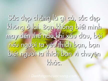 Sắc đẹp chẳng là gì cả, sắc đẹp không ở lại. Bạn không biết mình may đến thế nào khi xấu đâu, bởi nếu người ta yêu thích bạn, bạn biết người ta thích bạn vì chuyện khác.