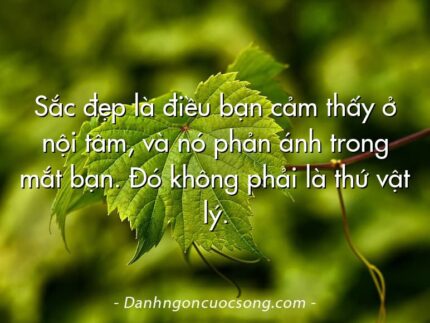 Sắc đẹp là điều bạn cảm thấy ở nội tâm, và nó phản ánh trong mắt bạn. Đó không phải là thứ vật lý.