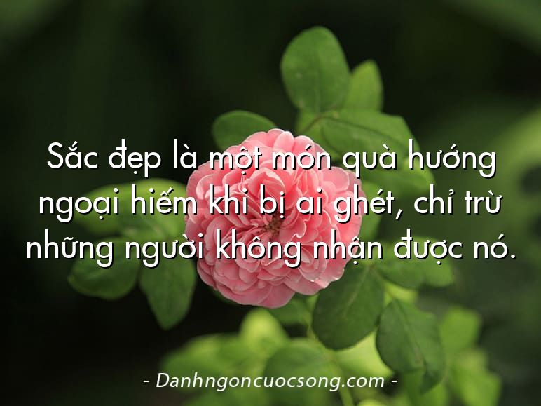 Sắc đẹp là một món quà hướng ngoại hiếm khi bị ai ghét, chỉ trừ những người không nhận được nó.