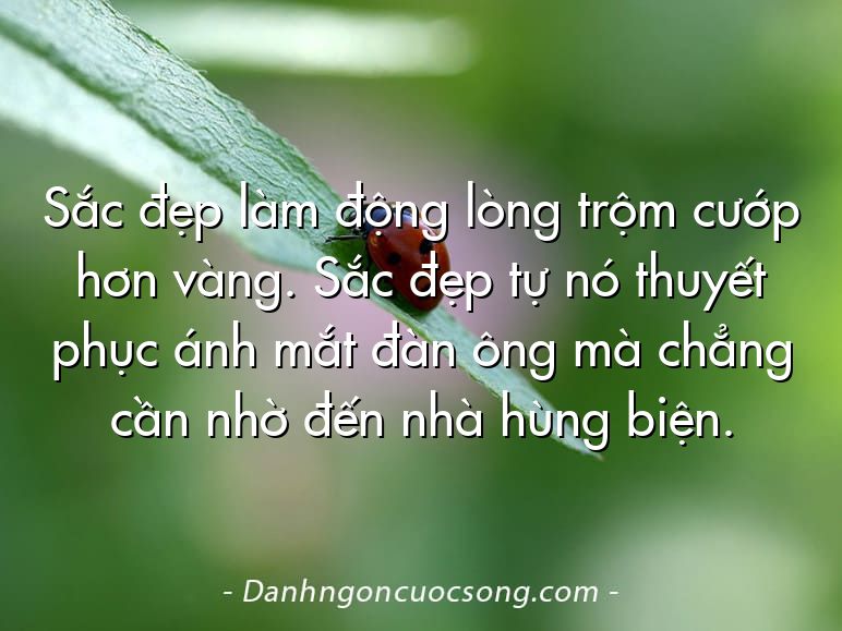 Sắc đẹp làm động lòng trộm cướp hơn vàng. Sắc đẹp tự nó thuyết phục ánh mắt đàn ông mà chẳng cần nhờ đến nhà hùng biện.