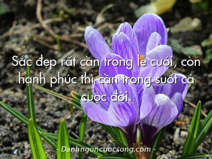Sắc đẹp rất cần trong lễ cưới, còn hạnh phúc thì cần trong suốt cả cuộc đời.