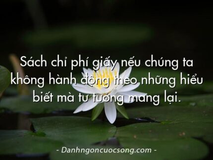 Sách chỉ phí giấy nếu chúng ta không hành động theo những hiểu biết mà tư tưởng mang lại.