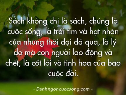 Sách không chỉ là sách, chúng là cuộc sống, là trái tim và hạt nhân của những thời đại đã qua, là lý do mà con người lao động và chết, là cốt lõi và tinh hoa của bao cuộc đời.