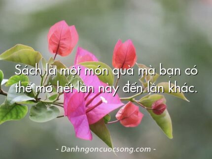 Sách là một món quà mà bạn có thể mở hết lần này đến lần khác.