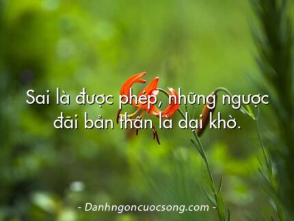 Sai là được phép, những ngược đãi bản thân là dại khờ.