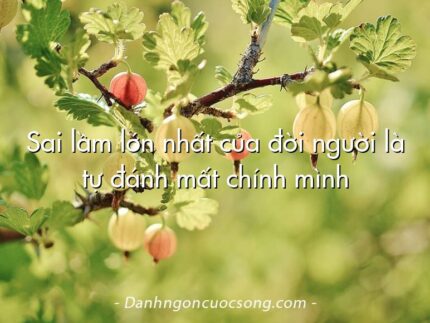 Sai lầm lớn nhất của đời người là tự đánh mất chính mình