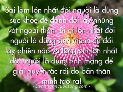 Sai lầm lớn nhất đời người là dùng sức khỏe để đánh đổi lấy những vật ngoài thân. Bi ai lớn nhất đời người là dùng sinh mệnh để đổi lấy phiền não và lãng phí lớn nhất đời người là dùng tính mạng để giải quyết rắc rối do bản thân mình tạo ra!