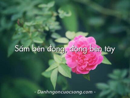 Sấm bên đông, động bên tây