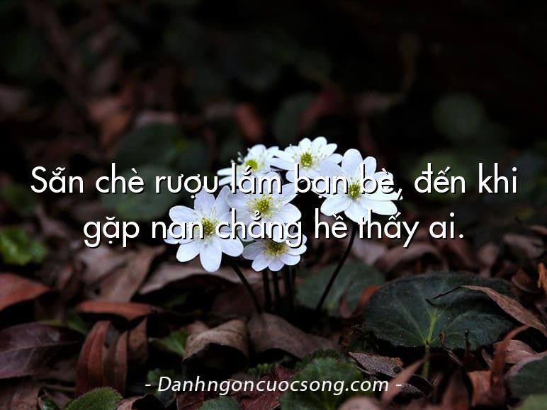 Sẵn chè rượu lắm bạn bè, đến khi gặp nạn chẳng hề thấy ai.