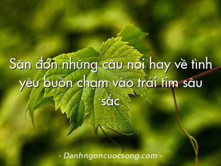 Săn đón những câu nói hay về tình yêu buồn chạm vào trái tim sâu sắc