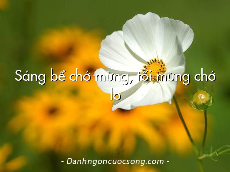 Sáng bể chớ mừng, tối mừng chớ lo