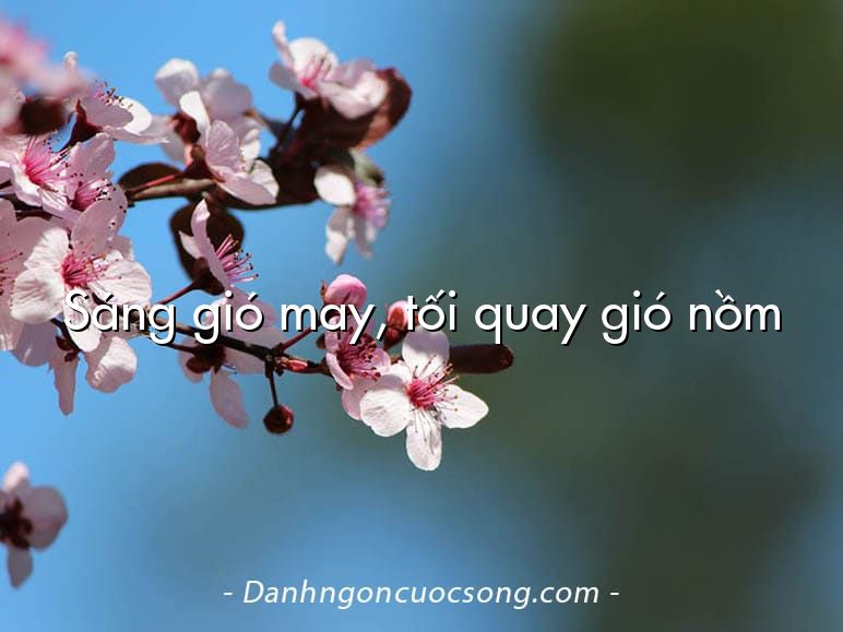 Sáng gió may, tối quay gió nồm