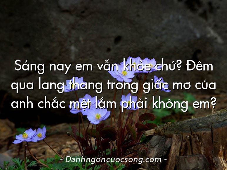 Sáng nay em vẫn khỏe chứ? Đêm qua lang thang trong giấc mơ của anh chắc mệt lắm phải không em?