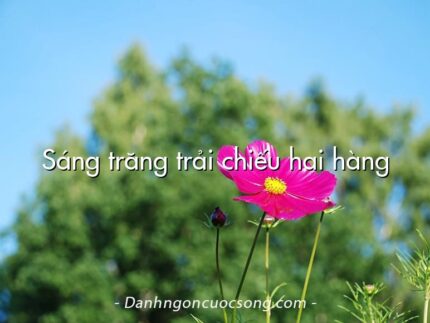 Sáng trăng trải chiếu hai hàng