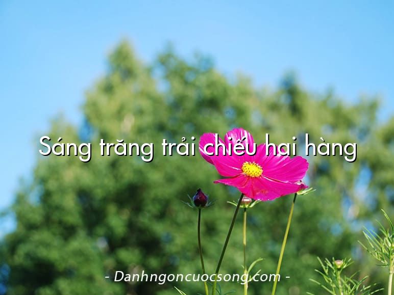 Sáng trăng trải chiếu hai hàng