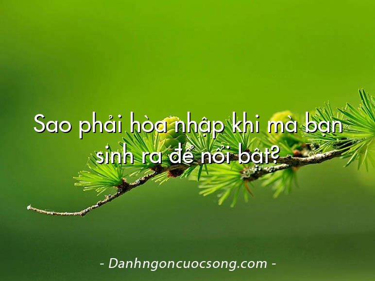 Sao phải hòa nhập khi mà bạn sinh ra để nổi bật?