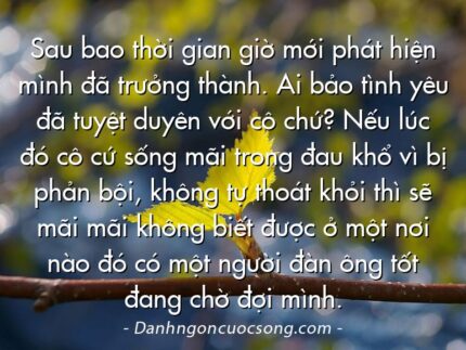 Sau bao thời gian giờ mới phát hiện mình đã trưởng thành. Ai bảo tình yêu đã tuyệt duyên với cô chứ? Nếu lúc đó cô cứ sống mãi trong đau khổ vì bị phản bội, không tự thoát khỏi thì sẽ mãi mãi không biết được ở một nơi nào đó có một người đàn ông tốt đang chờ đợi mình.
