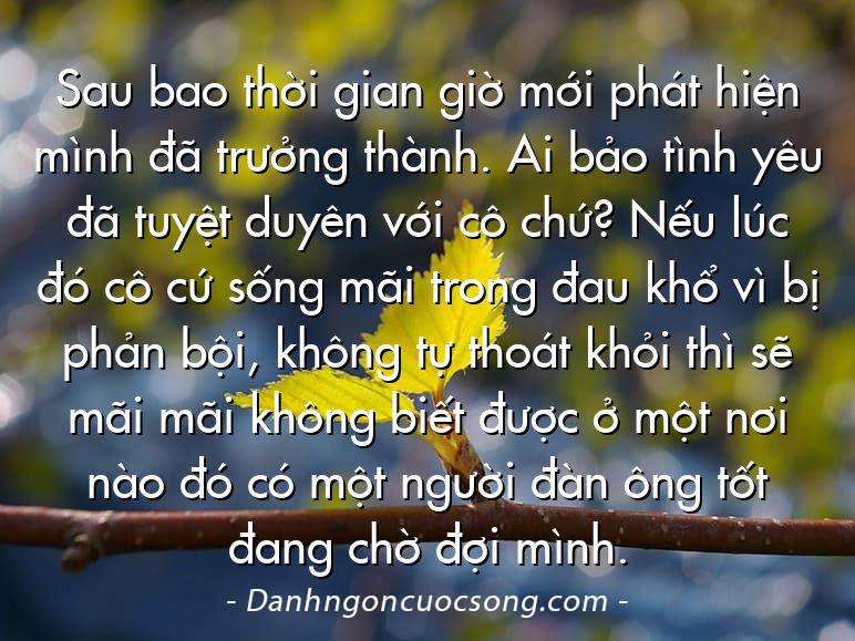 Sau bao thời gian giờ mới phát hiện mình đã trưởng thành. Ai bảo tình yêu đã tuyệt duyên với cô chứ? Nếu lúc đó cô cứ sống mãi trong đau khổ vì bị phản bội, không tự thoát khỏi thì sẽ mãi mãi không biết được ở một nơi nào đó có một người đàn ông tốt đang chờ đợi mình.