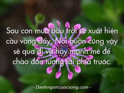 Sau cơn mưa bầu trời sẽ xuất hiện cầu vồng đấy. Nỗi buồn cũng vậy sẽ qua đi và hãy mạnh mẽ để chào đón tương lai phía trước.