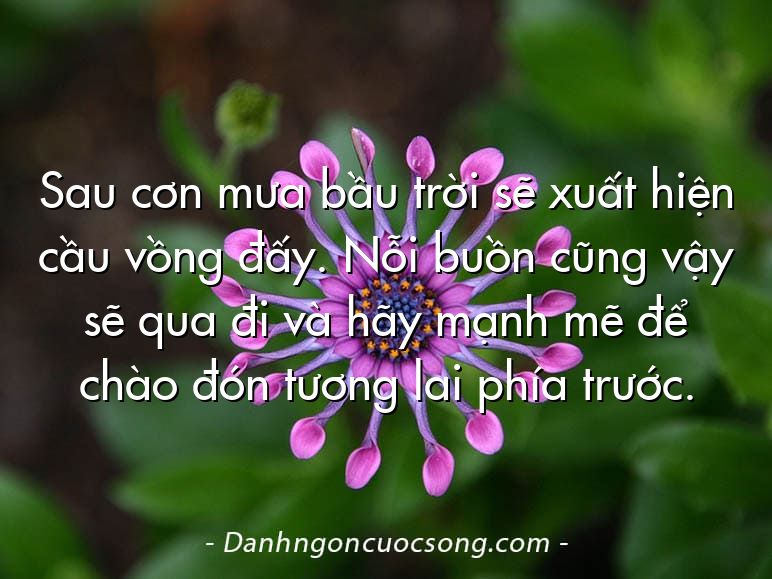 Sau cơn mưa bầu trời sẽ xuất hiện cầu vồng đấy. Nỗi buồn cũng vậy sẽ qua đi và hãy mạnh mẽ để chào đón tương lai phía trước.