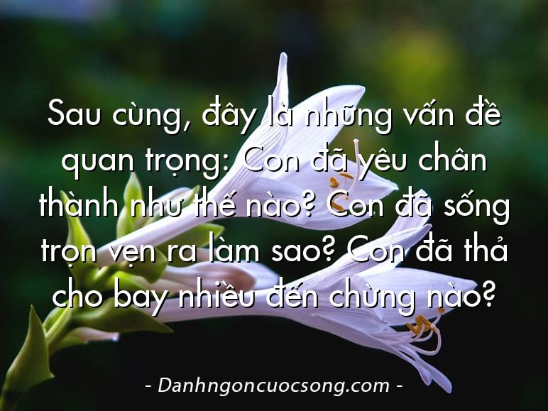 Sau cùng, đây là những vấn đề quan trọng: Con đã yêu chân thành như thế nào? Con đã sống trọn vẹn ra làm sao? Con đã thả cho bay nhiều đến chừng nào?