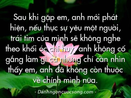 Sau khi gặp em, anh mới phát hiện, nếu thực sự yêu một người, trái tim của mình sẽ không nghe theo khối óc chỉ huy, anh không cố gắng làm gì cả nhưng chỉ cần nhìn thấy em, anh đã không còn thuộc về chính mình nữa.