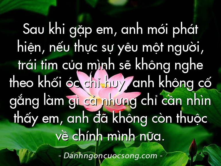 Sau khi gặp em, anh mới phát hiện, nếu thực sự yêu một người, trái tim của mình sẽ không nghe theo khối óc chỉ huy, anh không cố gắng làm gì cả nhưng chỉ cần nhìn thấy em, anh đã không còn thuộc về chính mình nữa.