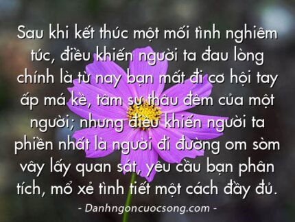 Sau khi kết thúc một mối tình nghiêm túc, điều khiến người ta đau lòng chính là từ nay bạn mất đi cơ hội tay ấp má kề, tâm sự thâu đêm của một người; nhưng điều khiến người ta phiền nhất là người đi đường om sòm vây lấy quan sát, yêu cầu bạn phân tích, mổ xẻ tình tiết một cách đầy đủ.
