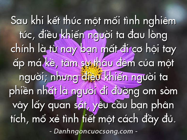 Sau khi kết thúc một mối tình nghiêm túc, điều khiến người ta đau lòng chính là từ nay bạn mất đi cơ hội tay ấp má kề, tâm sự thâu đêm của một người; nhưng điều khiến người ta phiền nhất là người đi đường om sòm vây lấy quan sát, yêu cầu bạn phân tích, mổ xẻ tình tiết một cách đầy đủ.
