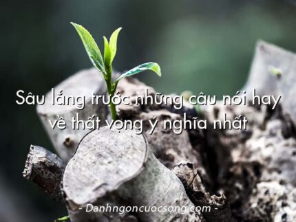 Sâu lắng trước những câu nói hay về thất vọng ý nghĩa nhất