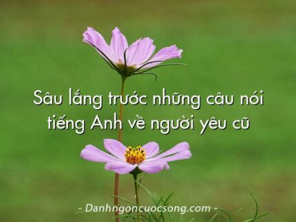 Sâu lắng trước những câu nói tiếng Anh về người yêu cũ