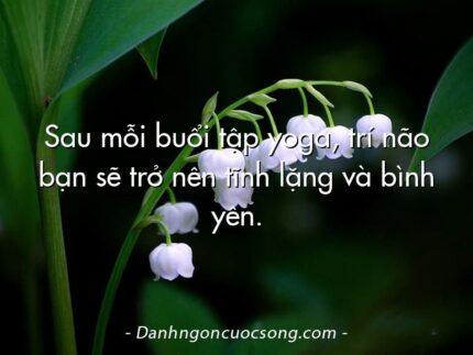 Sau mỗi buổi tập yoga, trí não bạn sẽ trở nên tĩnh lặng và bình yên.
