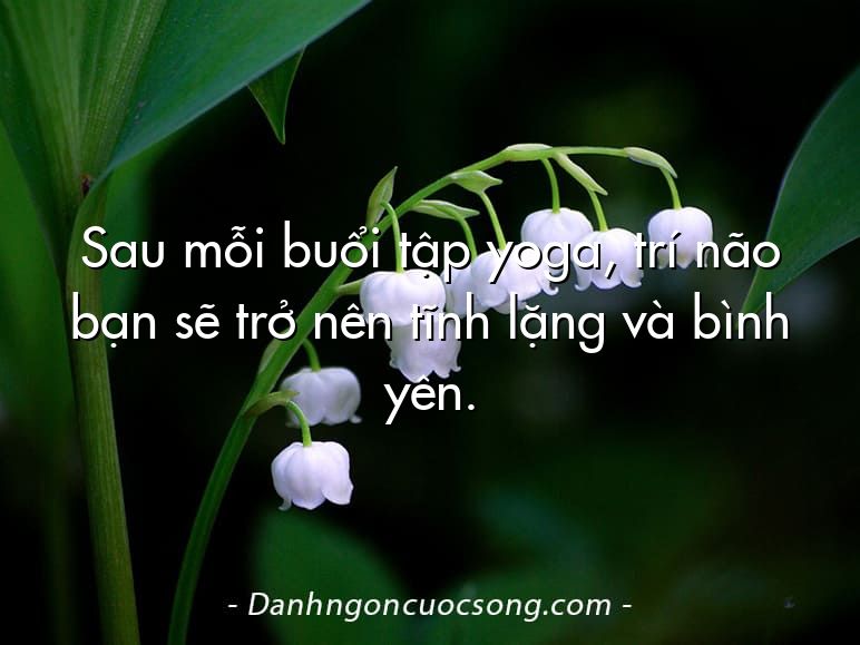 Sau mỗi buổi tập yoga, trí não bạn sẽ trở nên tĩnh lặng và bình yên.