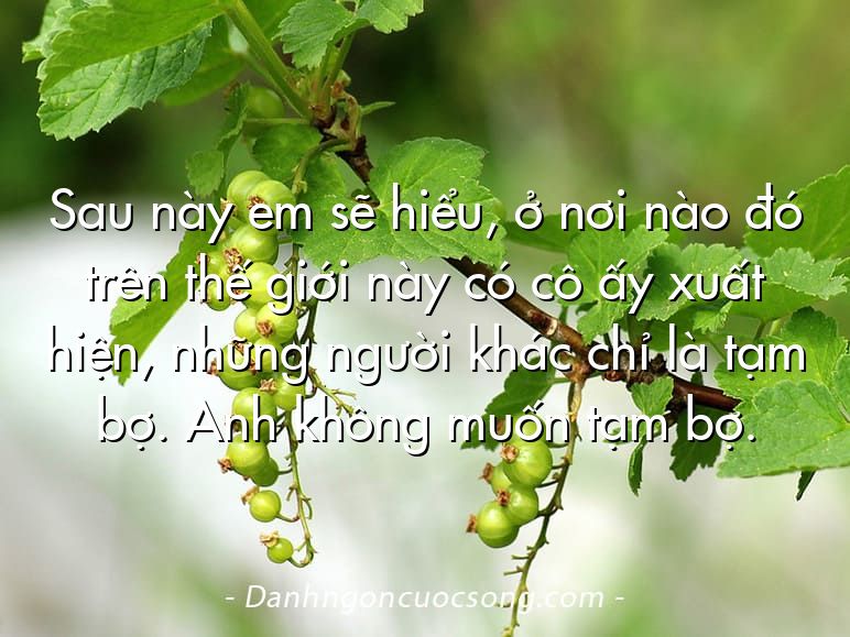 Sau này em sẽ hiểu, ở nơi nào đó trên thế giới này có cô ấy xuất hiện, những người khác chỉ là tạm bợ. Anh không muốn tạm bợ.