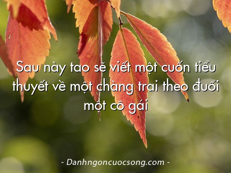 Sau này tao sẽ viết một cuốn tiểu thuyết về một chàng trai theo đuổi một cô gái