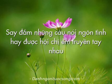 Say đắm những câu nói ngôn tình hay được hội chị em truyền tay nhau
