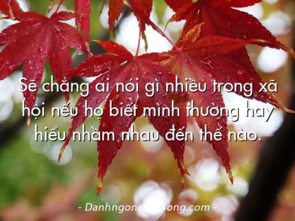 Sẽ chẳng ai nói gì nhiều trong xã hội nếu họ biết mình thường hay hiểu nhầm nhau đến thế nào.
