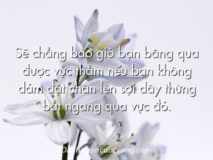 Sẽ chẳng bao giờ bạn băng qua được vực thẳm nếu bạn không dám đặt chân lên sợi dây thừng bắt ngang qua vực đó.