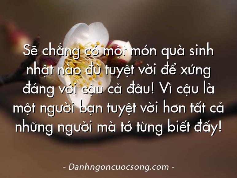 Sẽ chẳng có một món quà sinh nhật nào đủ tuyệt vời để xứng đáng với cậu cả đâu! Vì cậu là một người bạn tuyệt vời hơn tất cả những người mà tớ từng biết đấy!