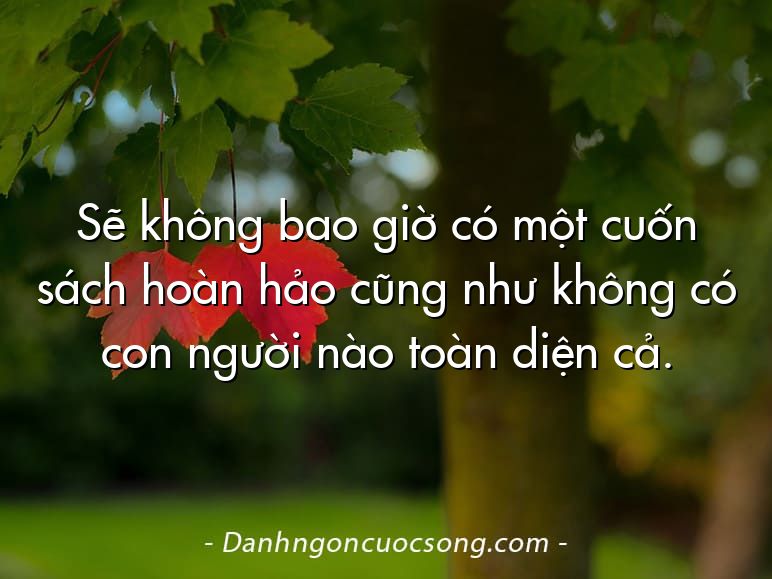 Sẽ không bao giờ có một cuốn sách hoàn hảo cũng như không có con người nào toàn diện cả.